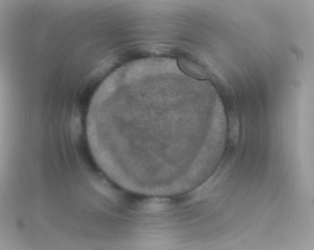 X0000115340128200911231441