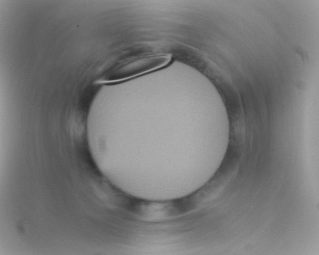 X0000115340129200911231441