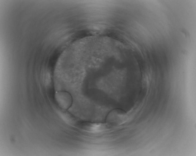 X0000115340130200911231441