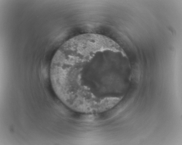 X0000115340131200911231441