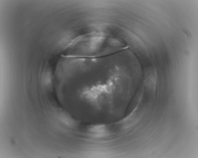 X0000115340132200911231441