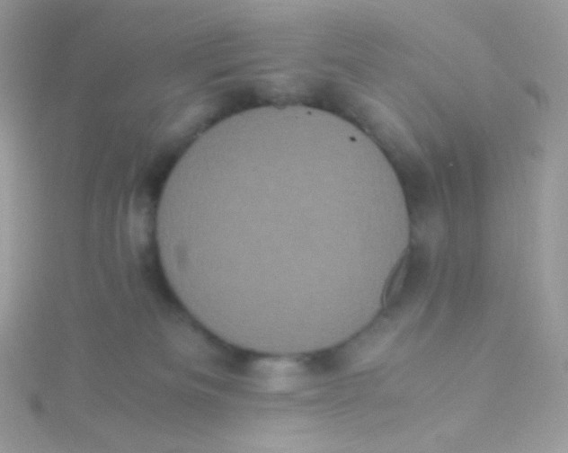 X0000115340133200911231441