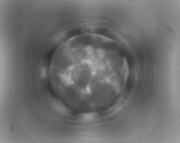 X0000115340134200911231441