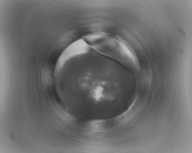 X0000115340136200911231441