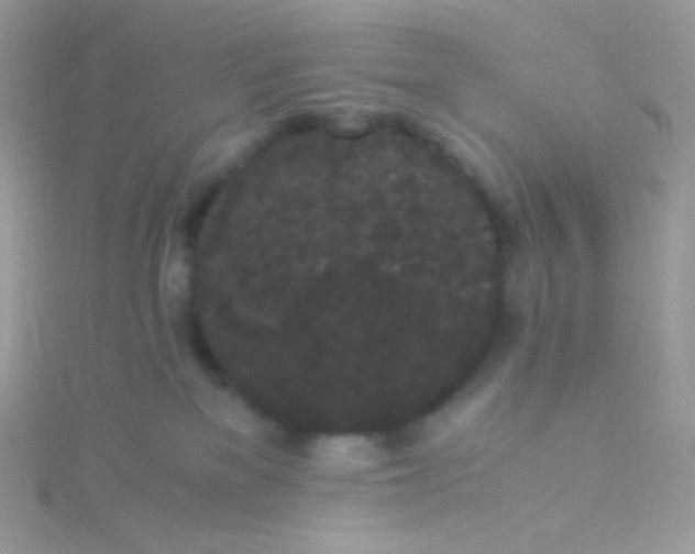 X0000115340137200911231441