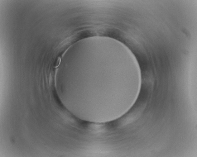 X0000115340139200911231441