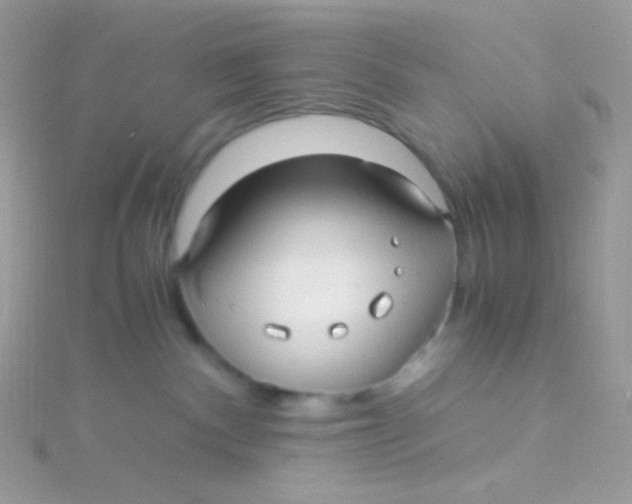 X0000115340140200911231441