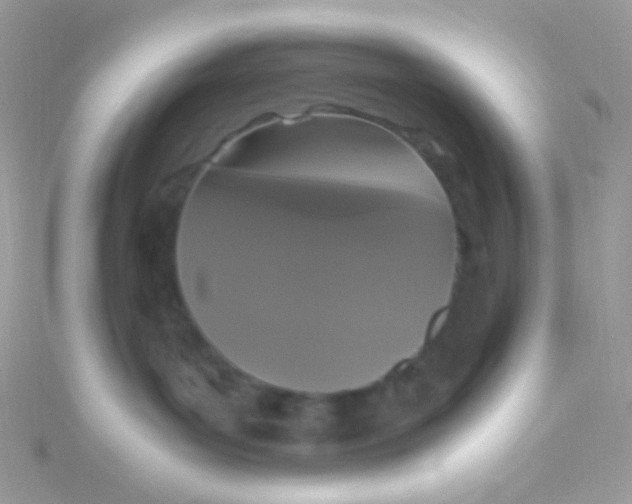 X0000115340143200911231441