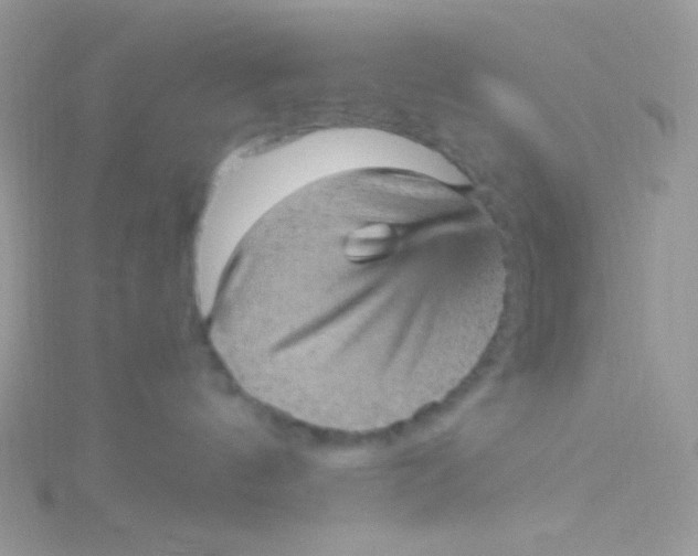 X0000115340144200911231441