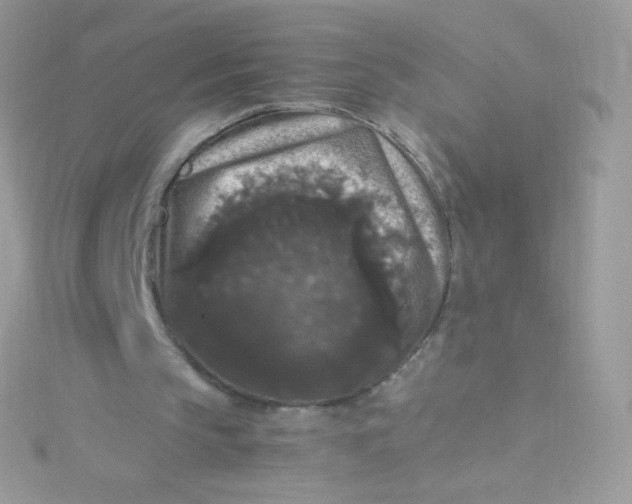 X0000115340145200911231440