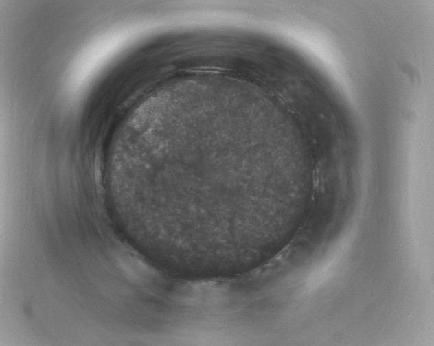 X0000115340146200911231440