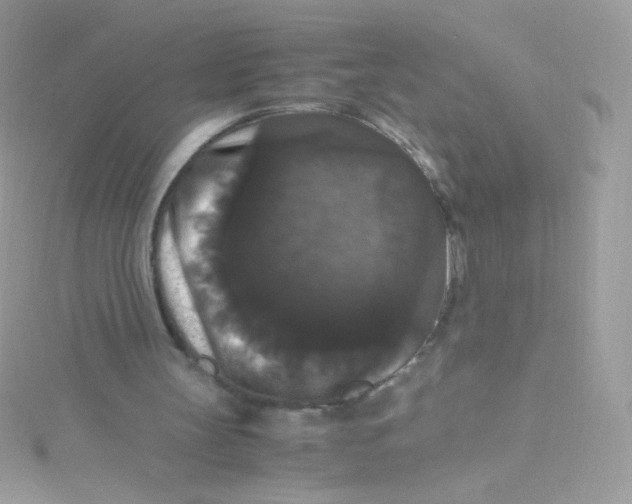 X0000115340147200911231440