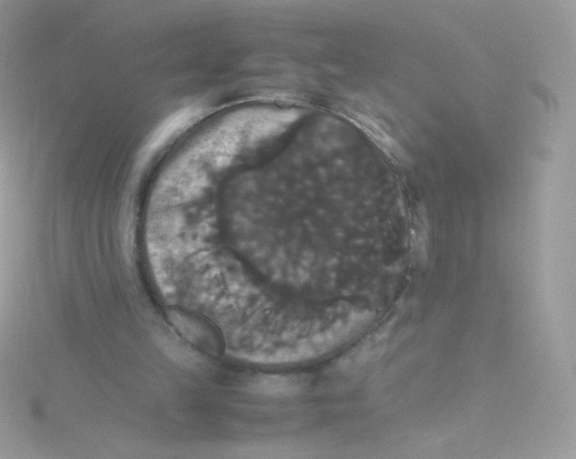 X0000115340149200911231440