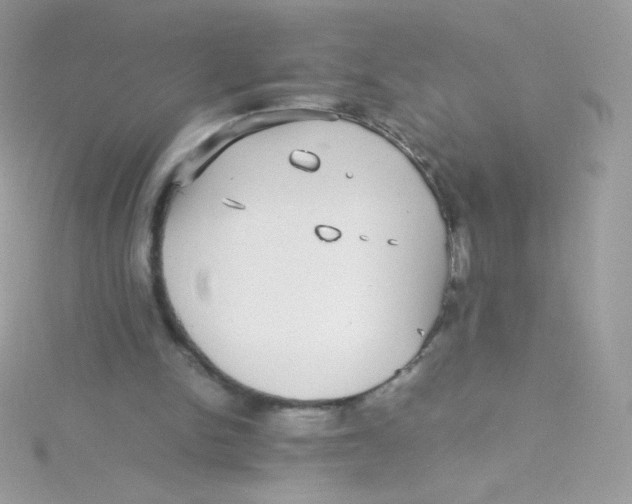 X0000115340150200911231440