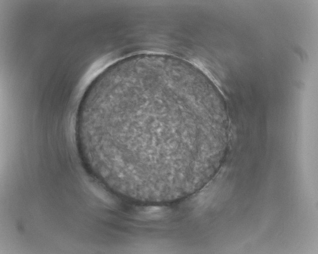 X0000115340151200911231440