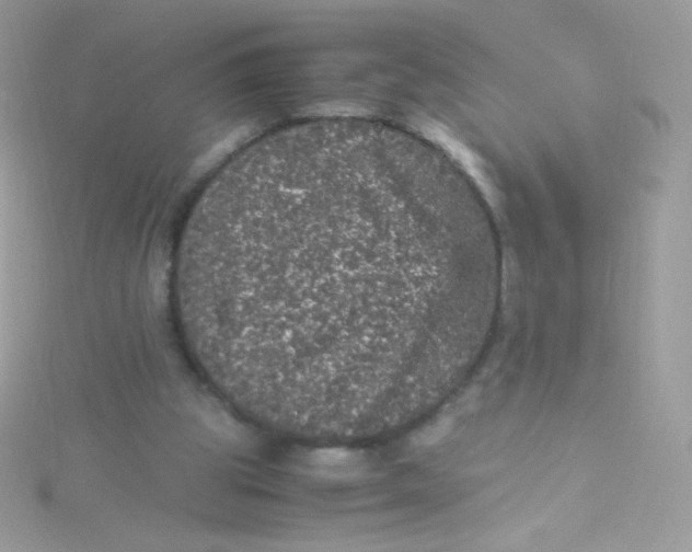 X0000115340153200911231440