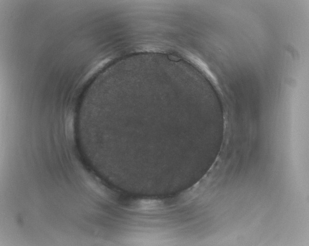 X0000115340154200911231440