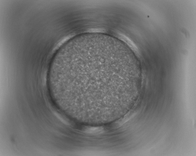 X0000115340155200911231440