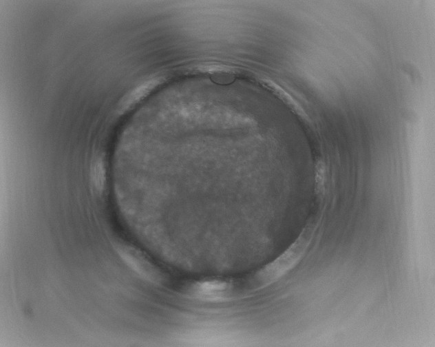 X0000115340158200911231440