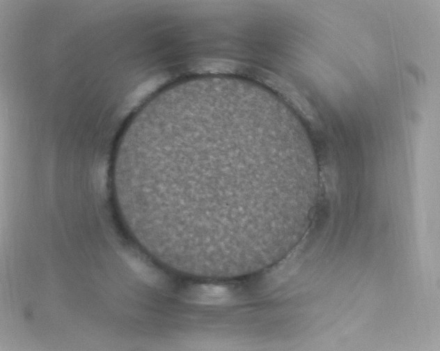 X0000115340159200911231440