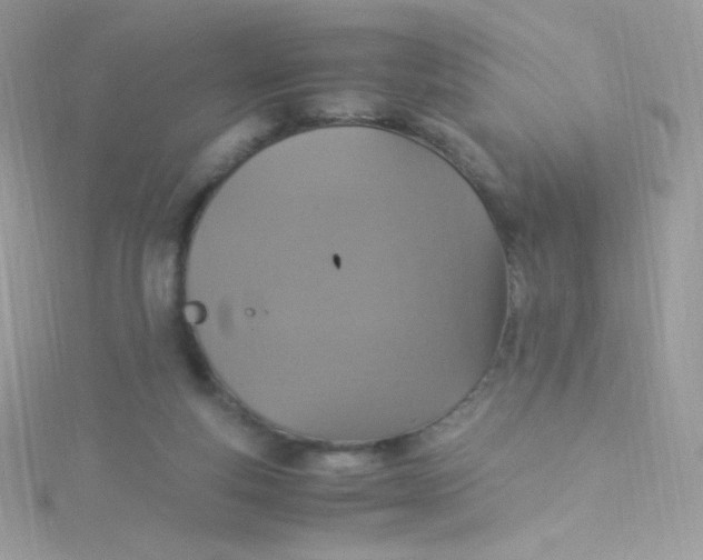 X0000115340163200911231440