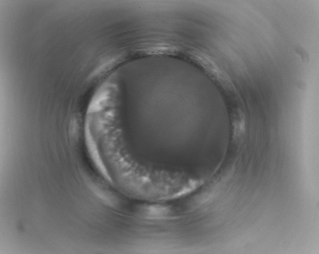 X0000115340165200911231440