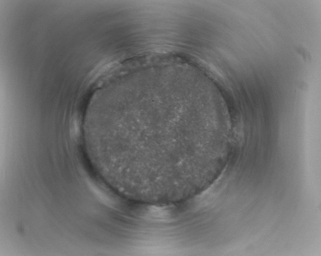 X0000115340166200911231440