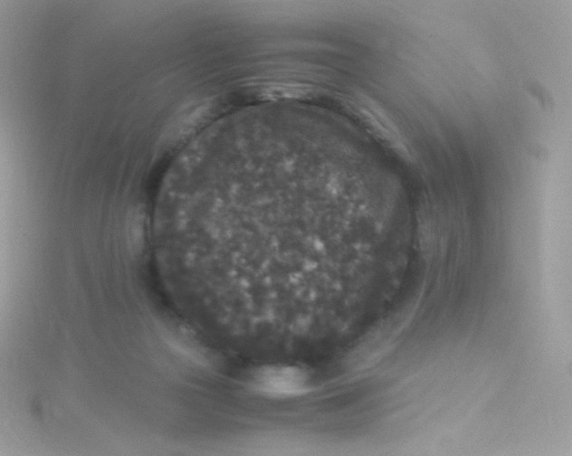 X0000115340169200911231440