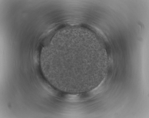 X0000115340170200911231440