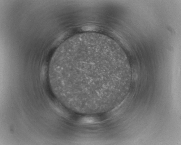 X0000115340171200911231440