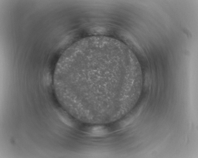 X0000115340173200911231440