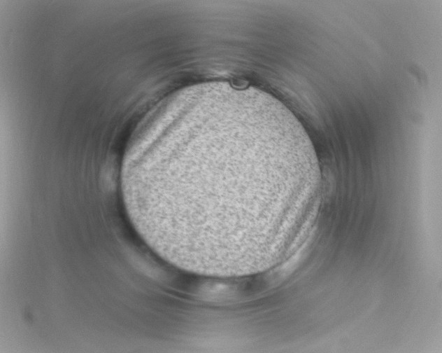 X0000115340174200911231440