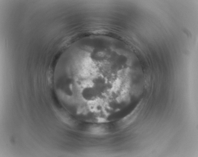 X0000115340175200911231440