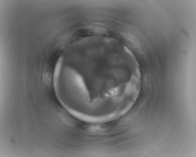 X0000115340177200911231440