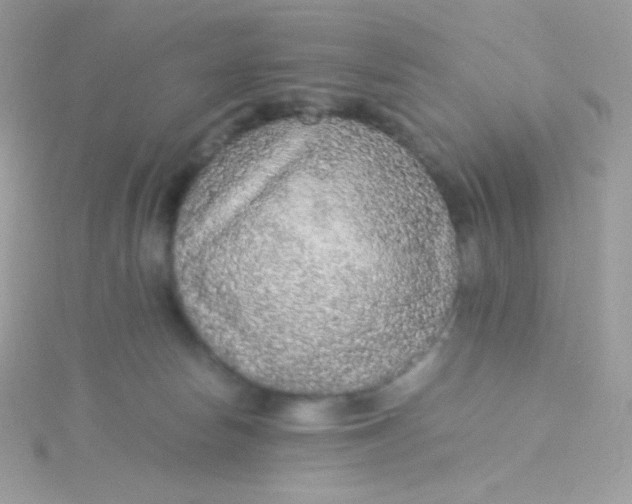 X0000115340178200911231440