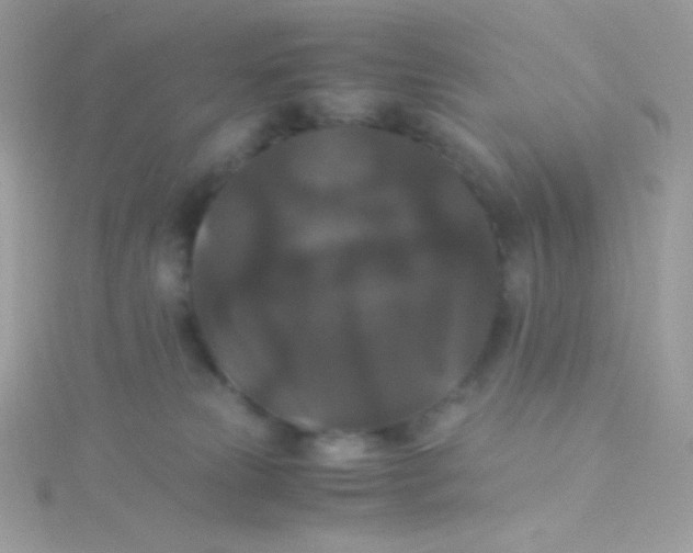 X0000115340181200911231440