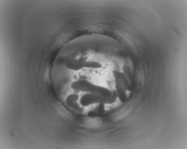 X0000115340185200911231440