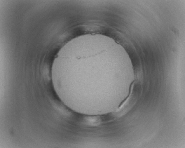 X0000115340187200911231440