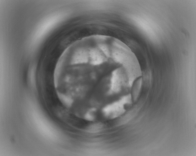 X0000115340189200911231440