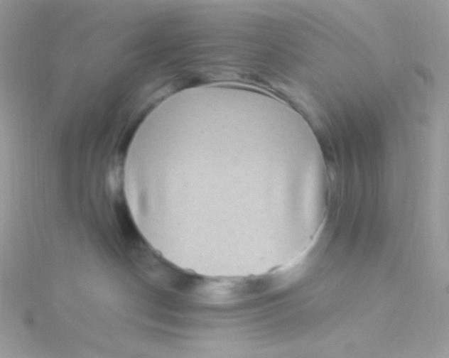 X0000115340190200911231440