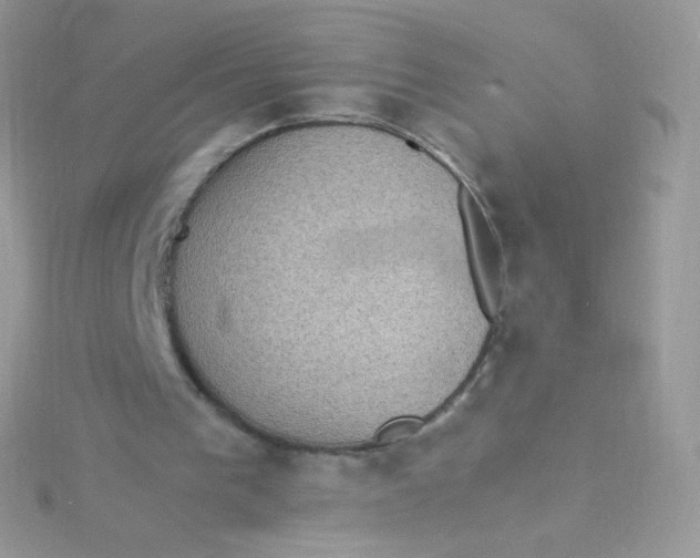 X0000115340193200911231440