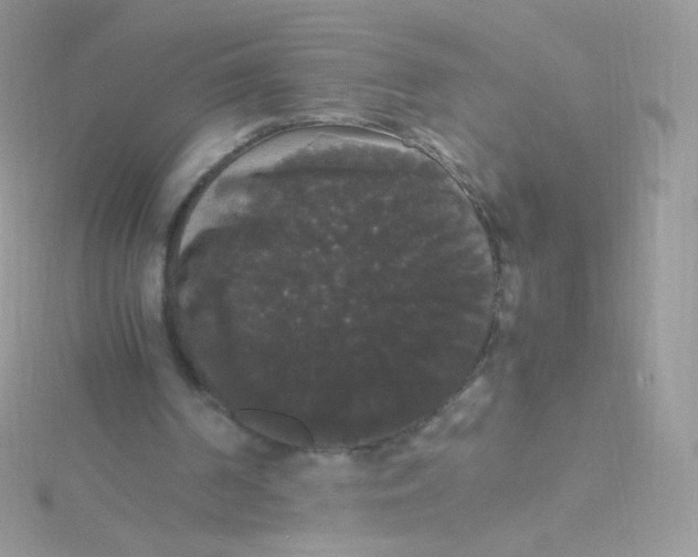 X0000115340194200911231440