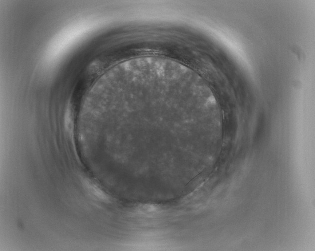 X0000115340195200911231440