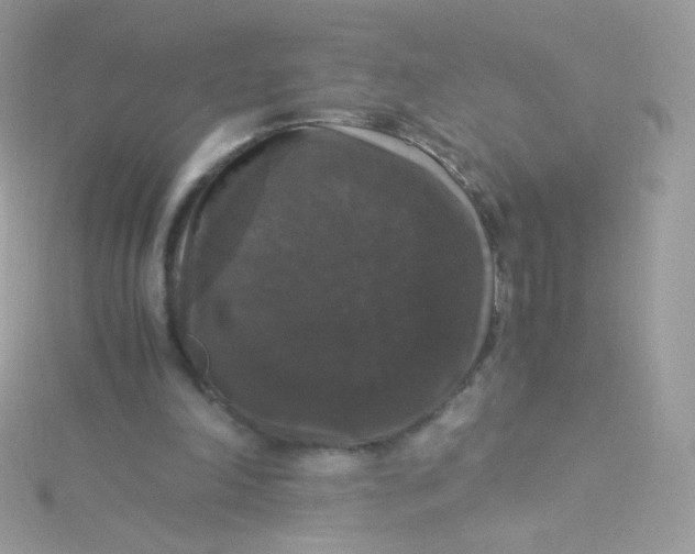 X0000115340198200911231440