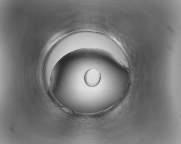 X0000115340199200911231440