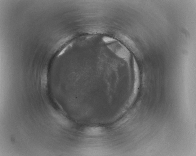 X0000115340202200911231440