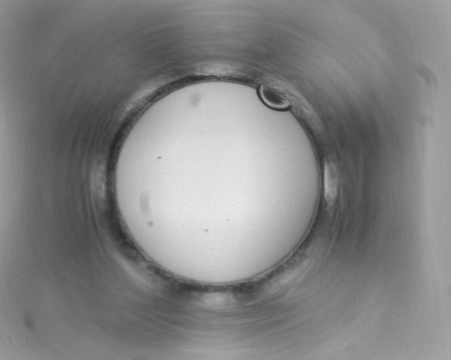 X0000115340204200911231440