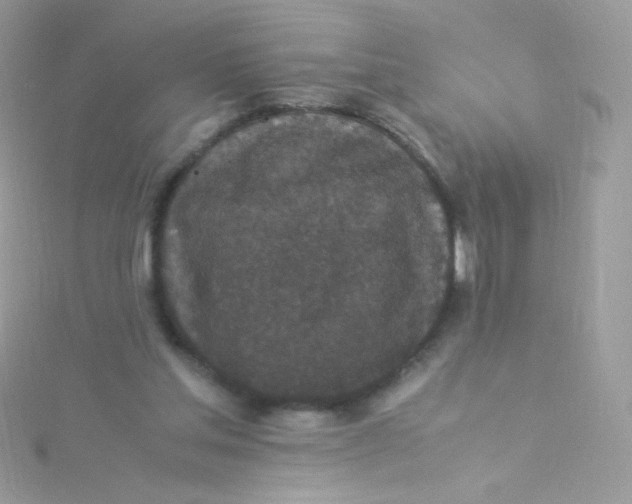 X0000115340205200911231440