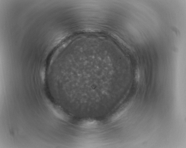 X0000115340206200911231440