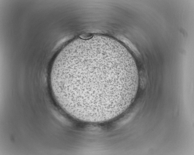 X0000115340207200911231440